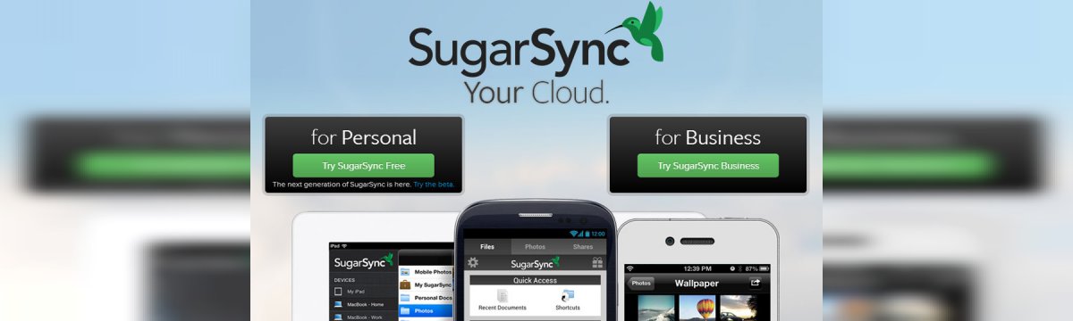 www sugarsync com