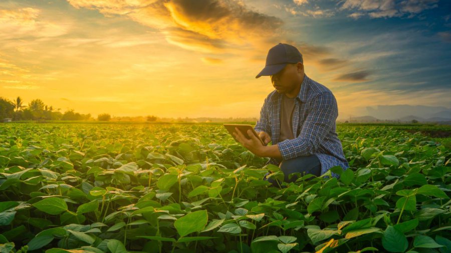 agricoltore con tablet