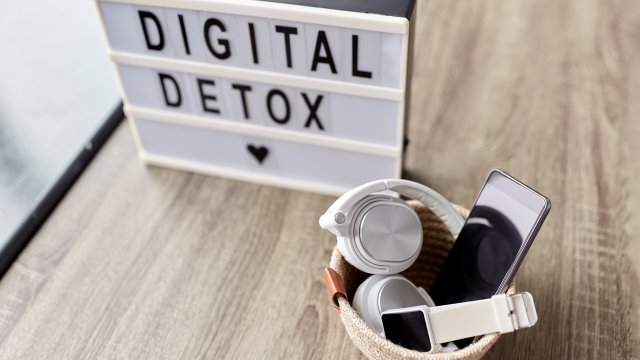 digital detox brick