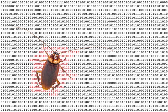 Bug e falle giocheranno un ruolo decisivo per la sicurzza informatica nei prossimi 12 mesi