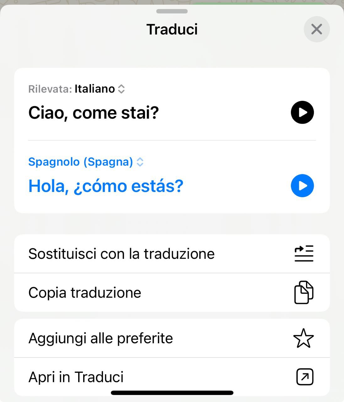 traduzione su WhatsApp